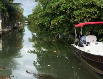 Belize Canal